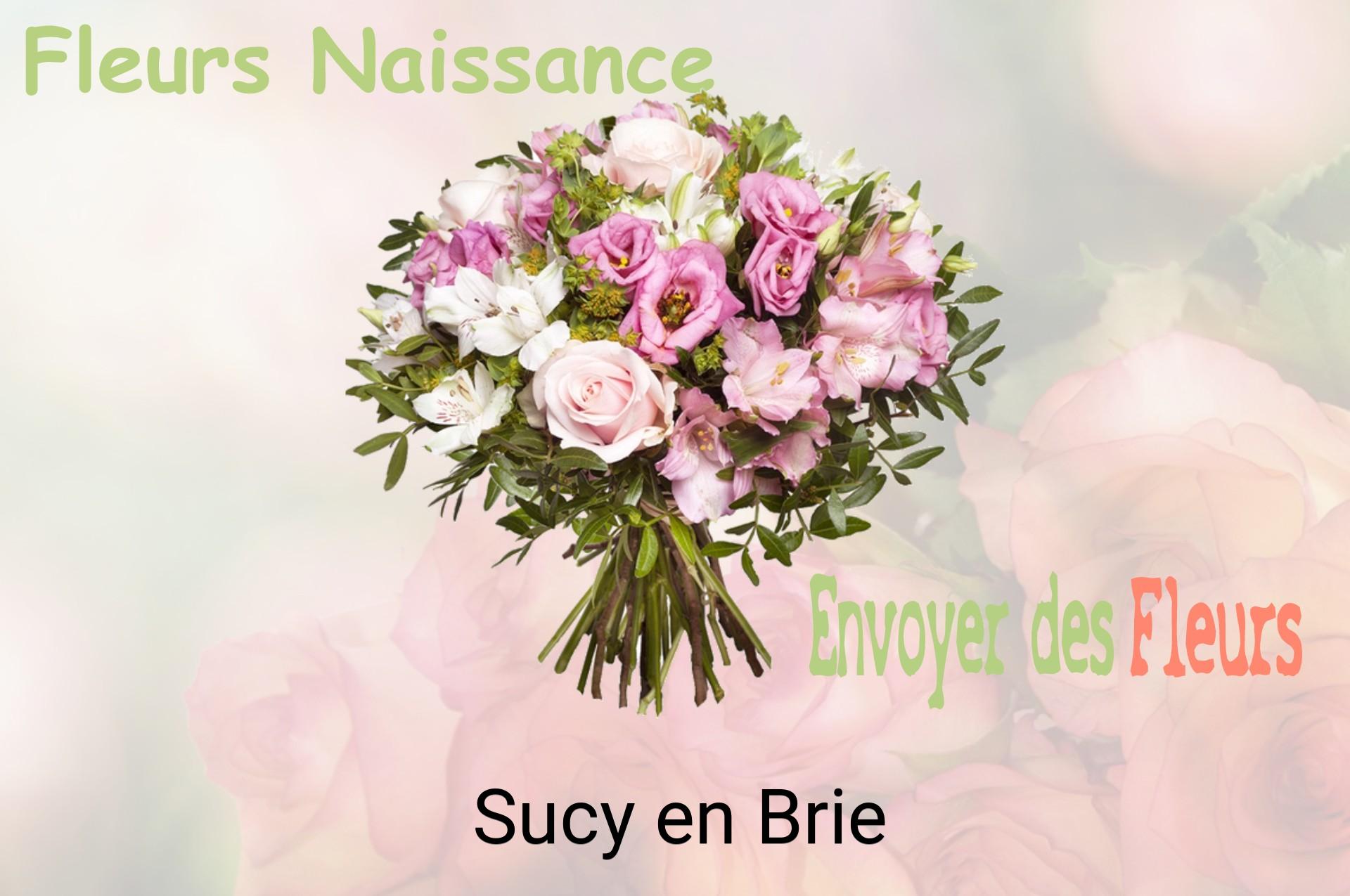 Bouquet de fleurs de naissance livré à Sucy-en-Brie